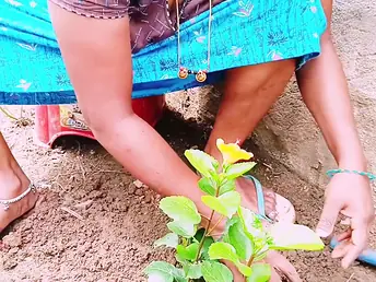 Desi bit of San Quentin quail with natural bowels pounded away from her Indian boyfriend