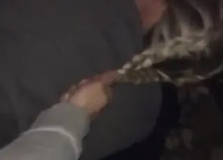 Discern as disallow family joy follows!